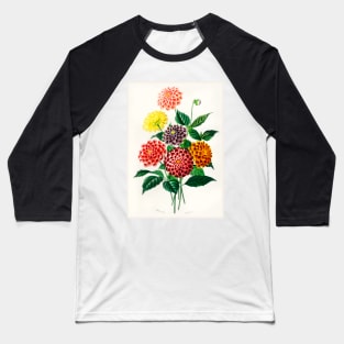 Dahlia Baseball T-Shirt